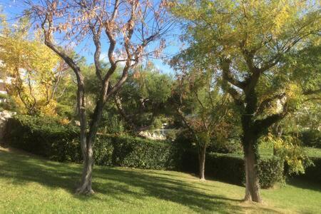 Cassis 4Pers Vue Mer Wifi Tennis Parking Piscine Exterior photo